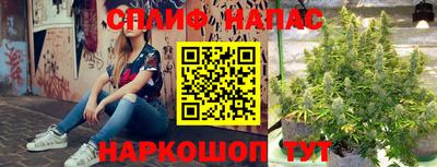 мдпв Нальчик